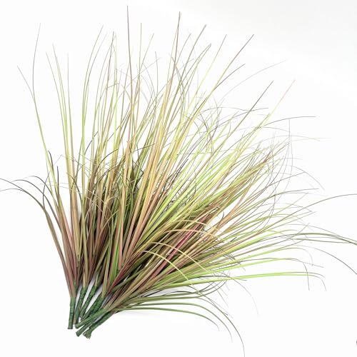 Artificial Grass Plants, Faux Wheat Grass Shrubs Fake Greenery Stems Tall Weed Plant Flowers Decor for Indoor Outdoor Farmhouse Garden Room Home Vase Wedding Party DIY Table Decoration (Purple) 8 Pack - color: Grass - Purple 8 Pack