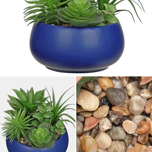 Hollyone Fake Plants Artificial Succulents in Pots Faux Succulent Arrangement Potted Plant in Blue Ceramic Planter Bowl for Home Decor Office Desk Bathroom Shelf Living Room Indoor Decorations - color: Premium Blue