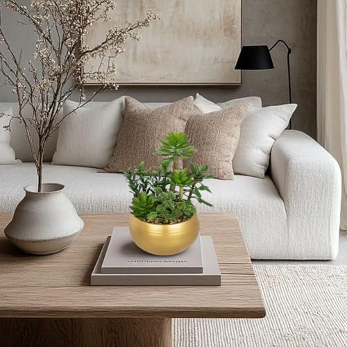 DILATATA Artificial Succulent Plants in Gold Pot Faux Succulent Arrangement Fake Potted Plants with Pebbles for Home Office Desk Shelf Table Decor - color: Gold #02