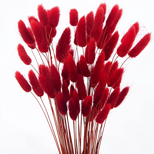60pcs Dried Bunny Tails Flowers Red Pampas Grass Natural Dried Floral Arrangement Dry Flowers for Christmas Halloween Boho Decor Home Wedding DIY Craft Decoration (16")… - color: Red
