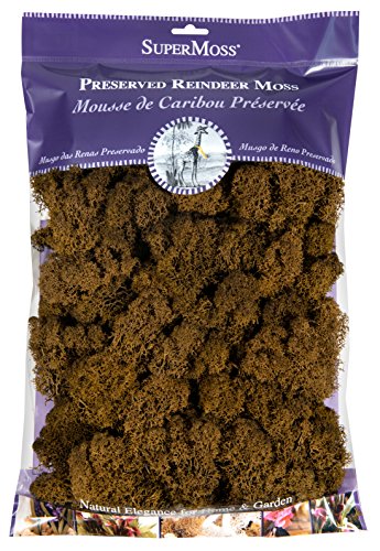SuperMoss (23092 Preserved Reindeer Moss, 200 Cubic inch (in3) Bag (Appx. 8oz), Brown - color: Brown, size: 200 cubic inch (in3) Bag (Appx. 8oz)