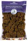 SuperMoss (23092 Preserved Reindeer Moss, 200 Cubic inch (in3) Bag (Appx. 8oz), Brown - color: Brown, size: 200 cubic inch (in3) Bag (Appx. 8oz)