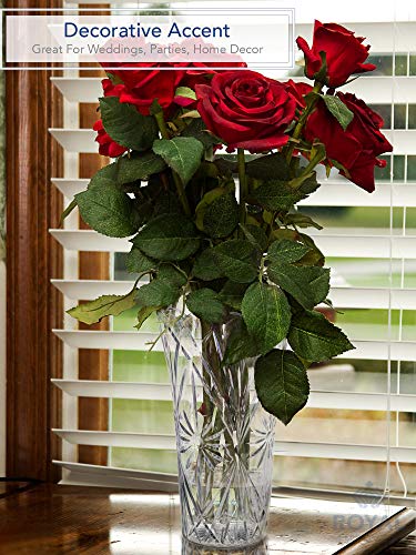 Royal Imports Flower Acrylic Vase Decorative Centerpiece for Home or Wedding Non-Breakable Plastic - 9" Tall, 4" Opening - Clear - size: 9" x 4"