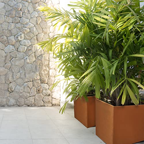 Corten Steel Planter Box Outdoor Planter Metal Square 20 Inch Large Steel Planter Box Rustic Cube Patina Tall Plant for Commercial Residential Plants Patio Yard Garden - color: Rust, size: 20" L x 20" W x 20" H