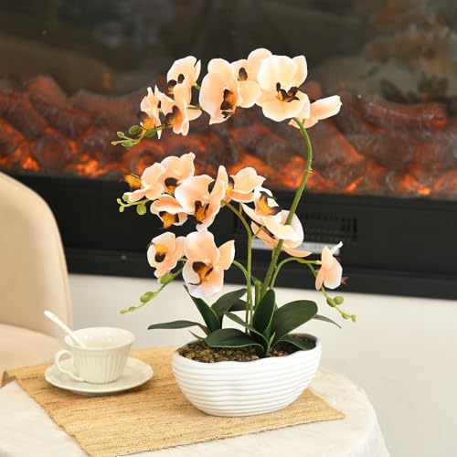 19" H Phalaenopsis Faux Orchid Plant Silk Orchid Centerpiece Artificial Floral Arrangement in Ceramic Pot (Champagne) - color: Champagne