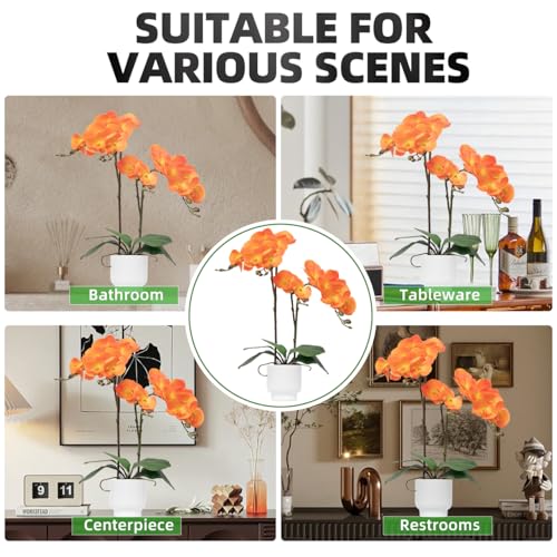 CXGS Orchids Artificial Flowers Real Touch Fake Flowers in Ceramic Pot 20" Orange Faux Orchid Plant Lifelike Silk Phalaenopsis for Centerpiece Hotel Home Indoor Decor - color: Orange- White Vase