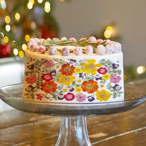 48 Pcs Mix Natural Dried Pressed Flowers for Crafts & Cake Decorating, Real Dry Flower for Cocktails, Resin Jewelry Making, DIY Art Crafts (Muticolor) - color: Muticolor