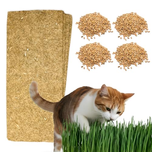 Cat Grass Refills for Self Watering Cat Grass Kit - 4 Mats and 4 Cat Grass Seed Packets (Refill Kit) - color: Cat Grass Refill Kit