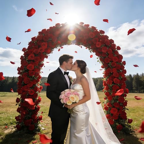 Anwyll 3000Pcs Dark-Red Rose Petals - Artificial Faux Flowers Fake Rose Petals for Wedding Proposal Engagement Romantic Night Anniversary Valentine's Galentine's Day Decoration Home Room Party Decor - color: Red-black