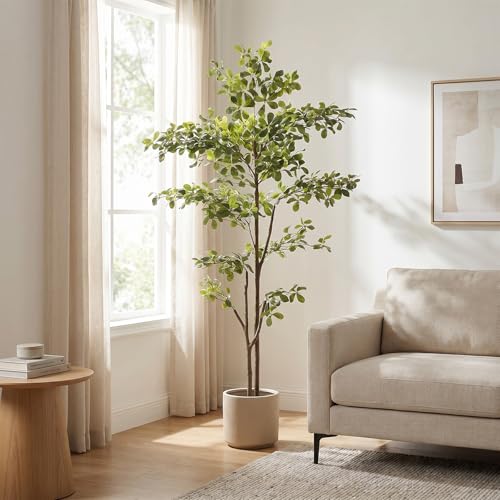 Black Olive Tree 6ft, Artificial Shady Lady Tree with Natural Trunk and Realistic Leaves, Tall Floor Plants for Living Room Decor Home Office Indoor Pack of 1 - size: 6ft