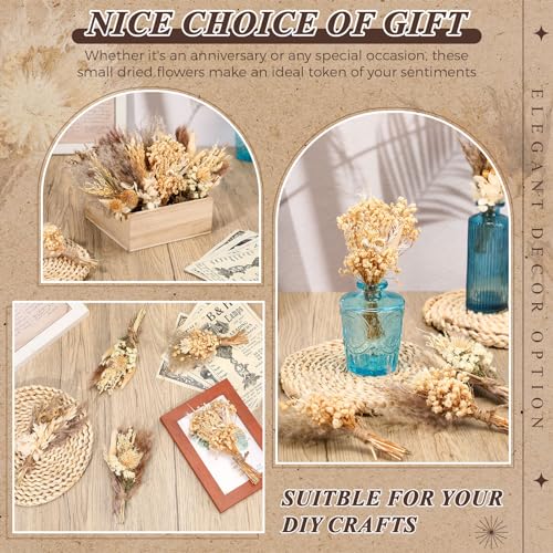 Layhit 24 Pcs Boho Dried Flower Bouquet Mini Wedding Handmade Dry Flowers Decor for Vase Crafts DIY Photo Boutonniere for Men Floral Plant for Bridesmaid Gift Birthday Decor(Stylish) - style: Stylish