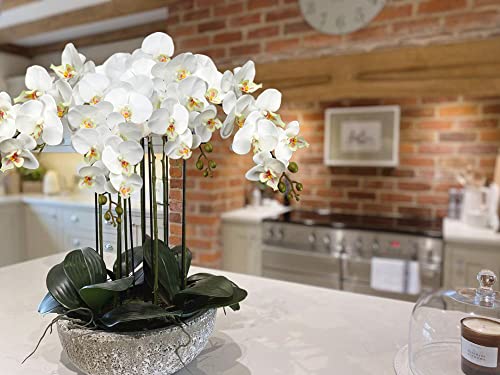 DILATATA Blooming Phalaenopsis Orchid Artificial 31.5" Long Stem with 9 Large Orchids Flowers Artificial Flowers for Decoration Home Arrangement-White Green Orchid 2 Pcs - color: White Green #20