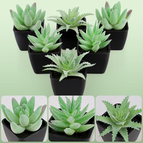 Woration 6pcs Faux Artificial Mini Flocking Succulent Plants in White Pots Fake Plastic Plants Topiaries for Shelf Table Windowsills Office Home Green Decoration - color: 6 Pack 3 Style Black