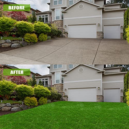 Premium Artificial Grass 3' x 4' Outdoor Rug, 1.38" Realistic Thick Turf for Garden, Yard, Fake Lawn, Dogs Synthetic Grass Mat, Rubber Backed with Drainage Holes, Customized Sizes - size: 3' x 4'
