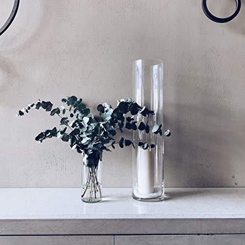 WGV Cylinder Vase, Diameter 5", Height 18", Clear Glass Floral Planter Container, Tall Centerpiece Arrangement for Wedding Party Event Home Office Decor, 1 Piece - size: 5"x18"H CL