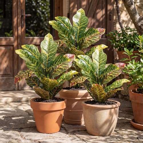 Hotop 4 Pcs Artificial Croton Plant 15.8 Inch Faux Greenery Leaf Branches Lifelike Tropical Houseplant Bush Stems for Home Office Garden Pot Decoration