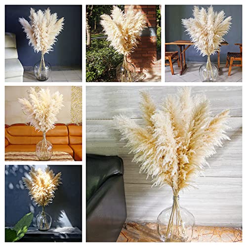 10 Stems 46" inch Dried Pampas Grass Decor Tall, Large Pompas Grass, Boho Neutral Home Decor Bouquet, Fluffy Pampass Grass for Floor Vase Wedding Floral Arrangements Wall Farmhouse Table Decor - size: 10PCS-46inch
