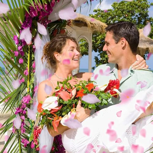 SITUMEIZI 3000PCS Romantic Dates Pink Rose Petals for Romantic Night for Her Set Flowers Wedding Party Decoration Marriage Proposals Decor Fake Rose Artificial Silk Rose Petals - color: Pink, size: 3000