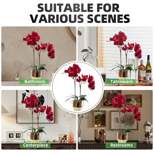 CXGS Orchids Artificial Flowers Real Touch Fake Flowers in Ceramic Pot 20" Red Faux Orchid Plant Lifelike Silk Phalaenopsis for Centerpiece Hotel Home Indoor Decor - color: Red- Gold Vase