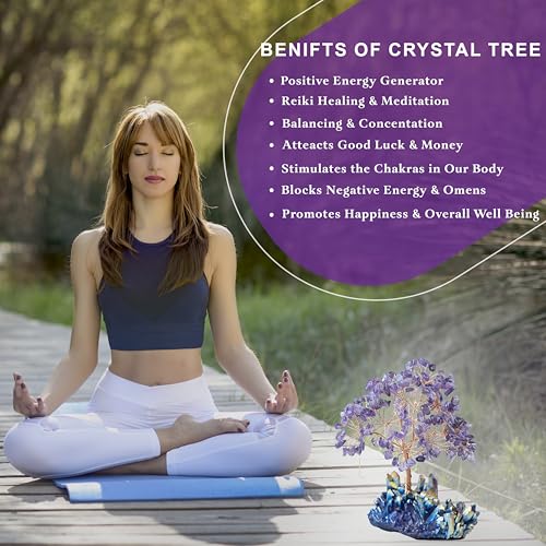 Crocon® Amethyst Crystals Tree with Rainbow Titanium Cluster Base Tree of Life Decor for Shelf, Birthday Gifts for Women, Sister Gifts, Birthday Gifts for Mom, Cute Home Decor, Purple Decor Present - color: Aa Amethyst Cluster