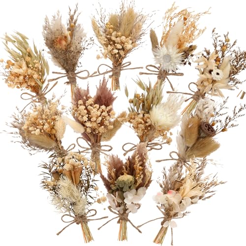 Layhit 12 Pcs Boho Dried Flower Bouquet Mini Wedding Handmade Dry Flowers Decor for Vase Crafts DIY Photo Boutonniere for Men Floral Plant for Bridesmaid Gift Birthday Decor(Rustic) - style: Rustic