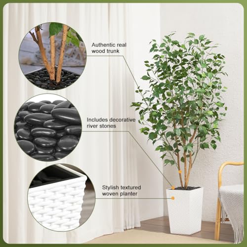 VeriNatural 6ft Artificial Ficus Tree-Tall Faux Tree with Pebbles & Planter UV Resistant Potted Fake Plant with Silk Leaves & Real Wood Trunk-Indoor Outdoor Floor Plant for Home,Living Room,VN129 - color: White, size: 6ft