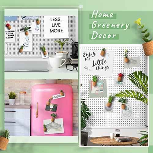 Joyibay Plant Fridge Magnets Mini Succulent Magnets Artificial Plants Refrigerator Magnets Potted Succulent Plants Magnet Stickers Cute for Magnet Boards Fridge Home Office Decor