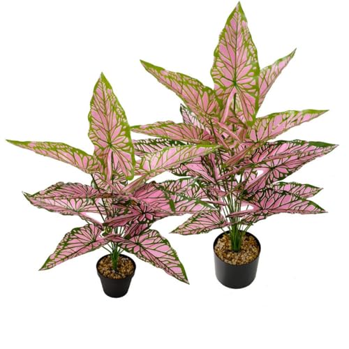 Aglaonema Plant with Variegated Green and Red Leaves, Fake Tree Leaf Simulation Flower Bonsai for Party Decoration Artificial Plants Floor Home Room Decor Ornament (Pink No Flowerpot, 75cm) - color: Pink No Flowerpot, size: 75cm