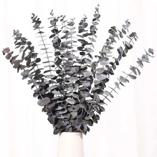 Tavkite 16 Pcs Dried Eucalyptus Stems, 17'' Natural Eucalyptus Leaves Branches Hanging for Shower, Preserved Real Black Plant Live Greenery for Home SPA Wall Bathroom Wedding Party Vase Decor - color: Z-black