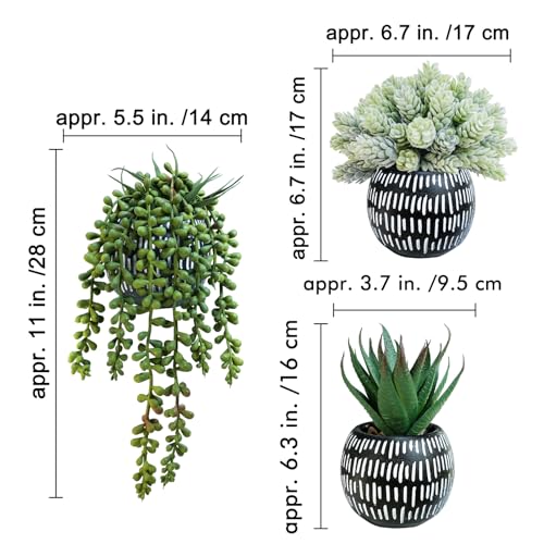 Winlyn Set of 3 Small Artificial Succulent Potted Plants Faux Aloe Hops Hanging Succulent in Black Concrete Planters for Gift Home Office Bathroom Living Room Wedding Windowsill Table Shelf Desk Décor - color: Black Pot