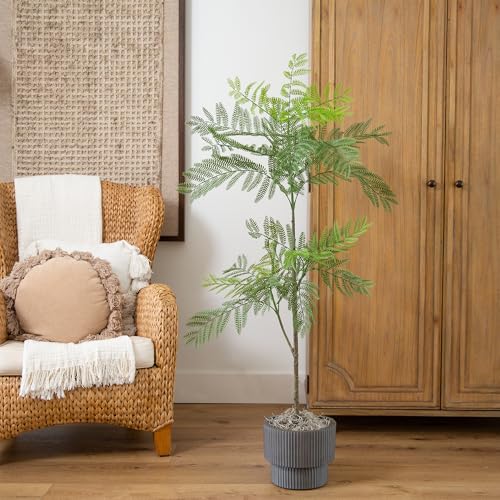 Nearly Natural 5ft Jacaranda Artificial Tree - Lifelike Green Leaves, Flexible Branches, Premium Craftsmanship, Includes Nursery Planter - Ideal for Home Decor in Living Rooms, Bedrooms, Entryways