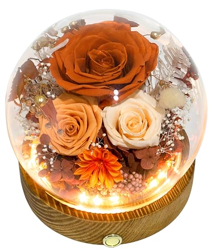 Valley of Rain & Forest Long-Lasting Real Flowers, Unique Floral Gift For You to Send Love for All Occasions, for Indoor Decoration (Orange Rose & Champagne Rose - Fall Themed) - color: Orange Rose & Champagne Rose - Fall Themed