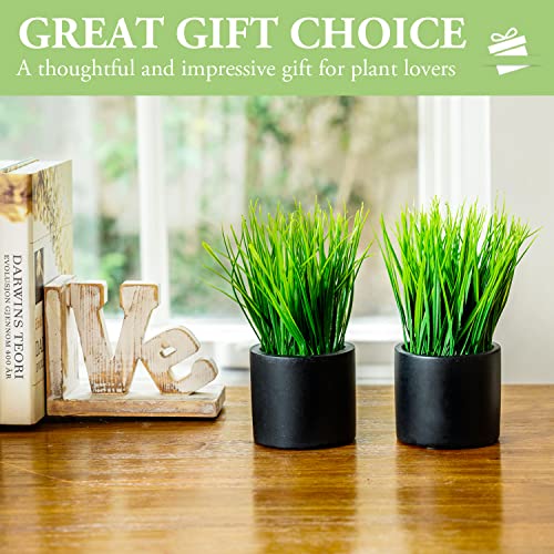 MyGift Tabletop Artificial Grass Plants Decorative Faux Greenery Plant Potted in Modern Cylindrical Black Cement Pots, Set of 2 - color: Black (Round)