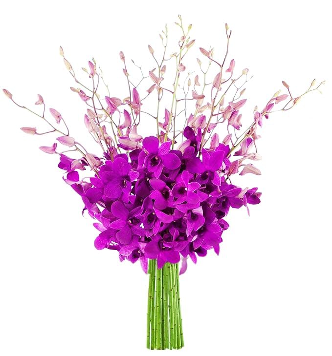 KaBloom-20 Purple orchid Bouquet,Flowers for Valentine, Mother's Day