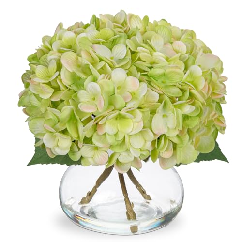 Hollyone Green Hydrangea Artificial Flowers with Glass Vase Silk Faux Flowers Arrangements in Vase with Faux Water Fake Floral Bulk Bouquet for Home Decor Table Centerpiece Decorations - color: Hydrangea, Green