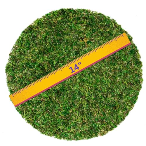 SuperMoss (26320) Moss Soil Toppers (Place Mats), Fresh Green, 14" (3 units) - color: Fresh Green, size: 14" (3 units)