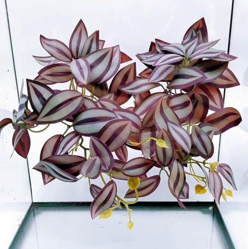 2Pack Reptile Fake Plants for Terrarium, Amphibian Habitat Decor Artificial Hanging Plants with Suction Cup, Artificial Leaves for Snake Tank Accessories.-Zebrina Purple - color: Zebrina