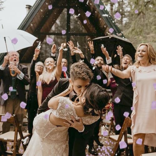 SITUMEIZI 3000PCS Artificial Silk Rose Petals Wedding Party Decoration Purple Rose Petals for Romantic Night for Her Set Flowers Petals Fake Rose Marriage Proposals Decor - color: Purple, size: 3000