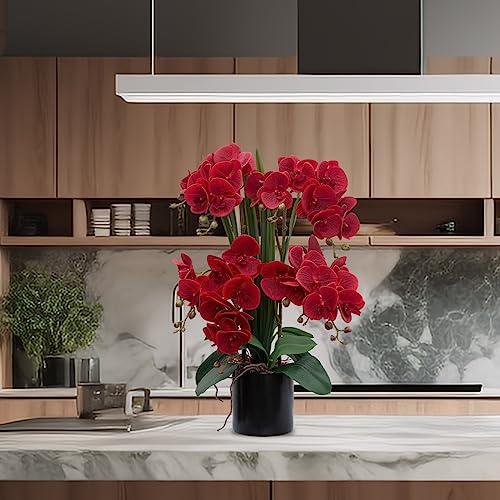 CXGS Artificial Orchid Flower Plants Real Touch Faux Orchids in Ceramic Vase 20.9'' Red Phalaenopsis Orchid Fake Flower Arrangement Home Indoor Decor - color: Red- Black (12cm)