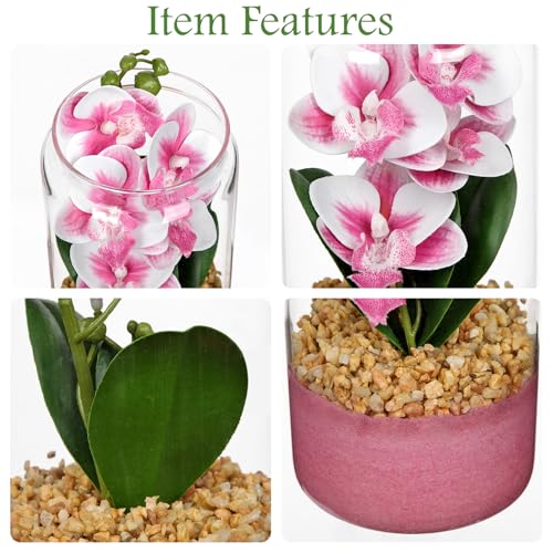 Pink Orchids Artificial Flowers with Vase, Small Faux Orchid Arrangement Fake Orchids Plant in Terrarium Jar Small Pink Orchid Centerpieces for Kitchen Dining Room Tables Bathroom Nightstand Decor - color: White + Pink Sand