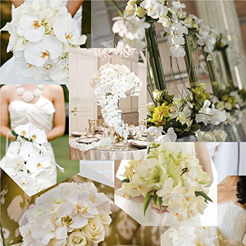 FagusHome 31" Artificial Silk Phalaenopsis Flowers 3 Pcs with 2 Bundles Leaves Artificial Orchid Flowers Stem Plants in Fake Butterfly Phalaenopsis Flowers for Home Wedding Party Décor (White)