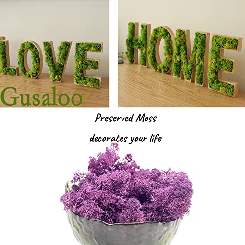 Moss Preserved Moss Natural Fresh Green Moss for Craft Arts Floral Project Wall Decor Table Decor Wedding Centerpieces Garden Artificial Terrariums Decoration- Purple 3.5OZ - color: Purple01, size: 3.5oz