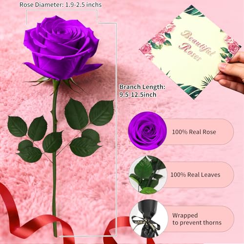 Purple Single Forever Roses in a Box,Preserved Flowers for Delivery,Preserved Rose Gifts for Women, Real Roses Gift, Mom Birthday Gifts, Mothers Day Flowers,Valentines Flowers,Presents for Her - color: PURPLE-window