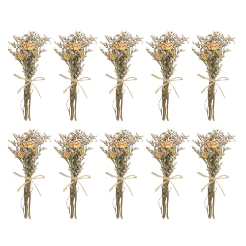 PATIKIL Mini Dried Flower Bouquet, 10 Pcs Rose Natural Wildflower with Stem Decor Baby's Breath Boho Floral Plant Flower for Crafts DIY Photo Props Gift Wedding Decor, Cream - color: Cream