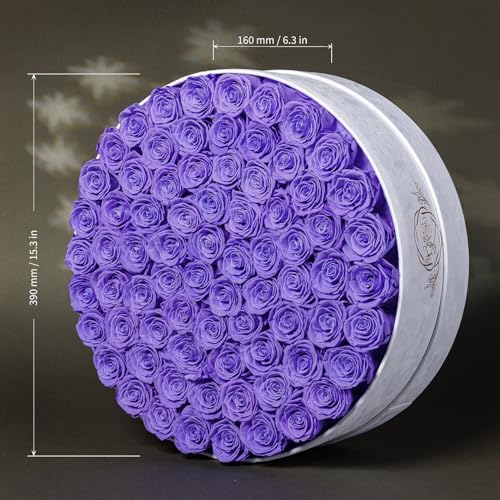 Prifroti 75 Preserved Roses in Suede Box – Luxury Rose Flower Arrangement, Preserved Flowers Gifts for Women, Wife or Mom – Birthday, Anniversary, Valentine’s Day, Mother's Day (Lavender) - color: Lavender, size: 75 Roses