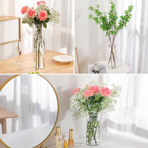 3 Large Acrylic Clear Cylinder Vase Set with 2 Spiral Ikebana Stem Holder Ring, Unbreakable Tall Plastic Hurricane Vases for Wedding Centerpieces Flower Bouquet Decor (3 Vases + 2 Holder) - color: 3 Clear - M