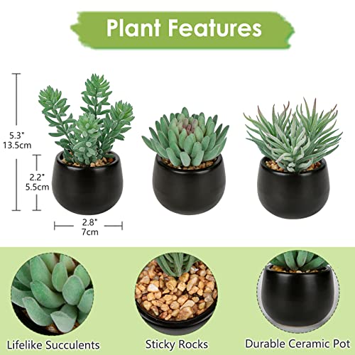 Briful 3PCS Artificial Succulents Fake Plants Mini Succulents Potted in Black Ceramic Pots Artificial Plastic Plants for Home Office Desk Farmhouse Bathroom Décor - color: Type #3