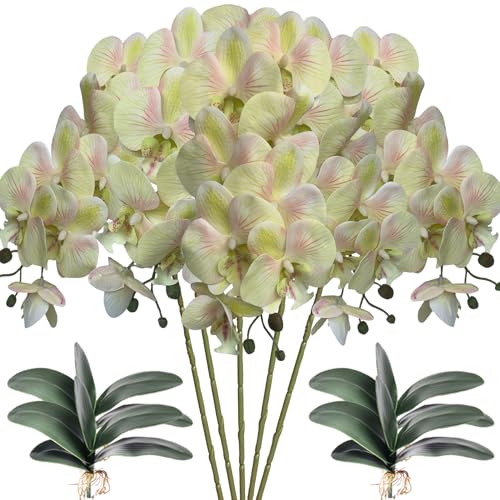 HinyoCo 5 Pcs Artificial Orchid Flowers and 4 Bundles Leaves, Artificial Phalaenopsis Flowers 32 Inch Stem Plants for Home Wedding Decoration (Light Green Pink) - color: Light Green Pink