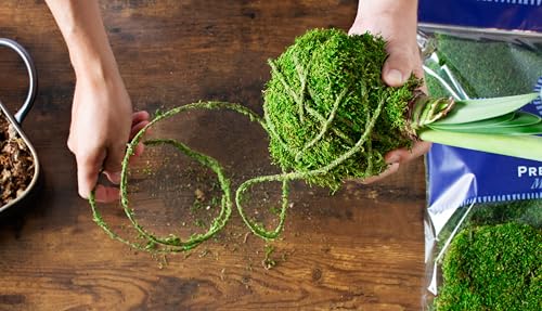 SuperMoss Floral Wire, 12 ft.