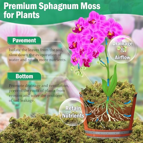 Riare 2.8LBS Premium Sphagnum Moss for Plants- 55QT Natural Dried Plant Moss for Potted Plants, Orchid Moss for Repotting, Soft Green Decorative Moss for Succulents, Reptiles & DIY Crafts - color: 55 QT(Appx.2.8lbs)